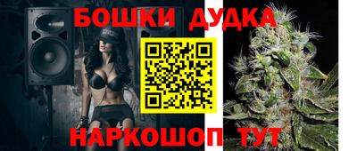 дживик Моздок