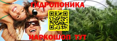 дживик Моздок